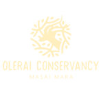 olerai conservancy